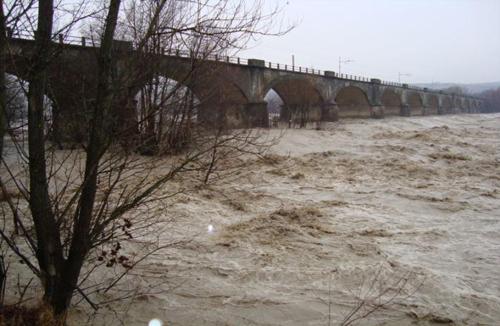 Tenta il suicidio nel Taro: salvato dai carabinieri e dai vigilanti Ivri