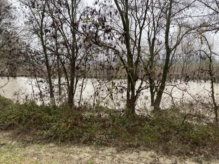 Temporali, livello dei fiumi e rischio frane: allerta arancione anche nel Parmense 