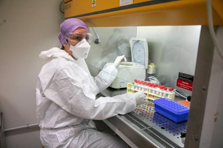 La task force di via Volturno che analizza oltre mille tamponi al giorno