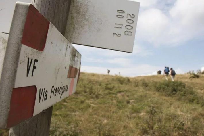 Paura sulla Via Francigena: escursionisti accerchiati dai cani