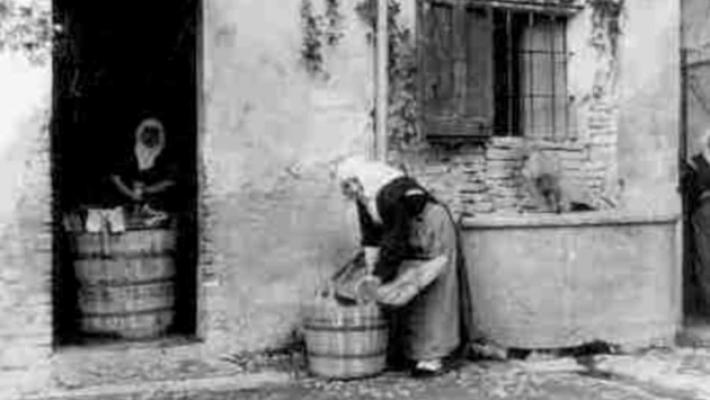 Quando si vendemmiava nel cuore di Parma