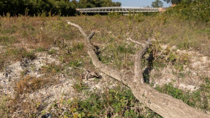 Il Comitato alluvionati: &laquo;Il Baganza va pulito, abbiamo paura ogni volta che piove&raquo;