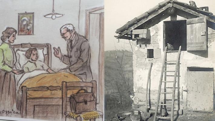 Galline, scale di pollai e dottori negli scoppiettanti proverbi di una volta