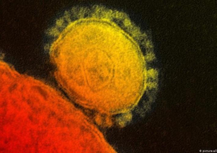 Covid: l' immunit&agrave; al virus dopo l'infezione dura almeno 8 mesi