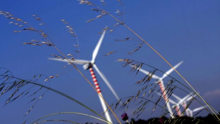 Anche l'Unione dei Comuni dice &laquo;no&raquo; all'impianto eolico