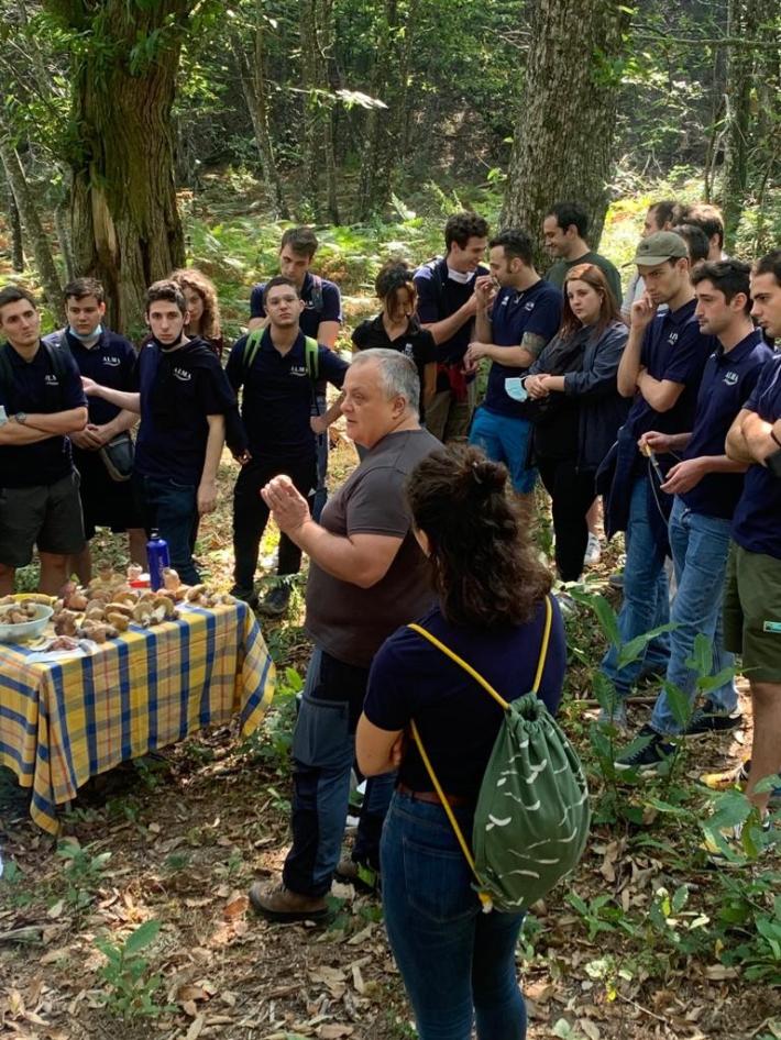 Patrimonio ambiente, la svolta verde di chi ha riscoperto l'economia dei boschi