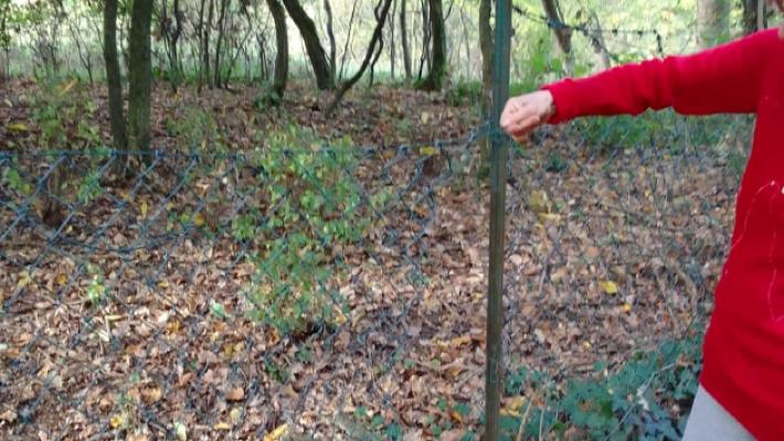 Raffica di furti a Maiatico: &laquo;I ladri ci controllano e sanno quando usciamo di casa&raquo;