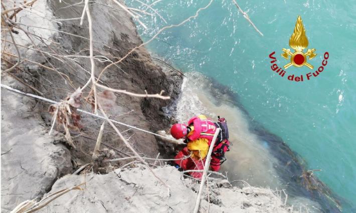 Cane nel Taro: salvato dai vigili del fuoco