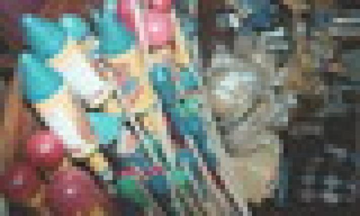 &laquo;Tanti animali scappati&raquo;. Le ordinanze non fermano i botti