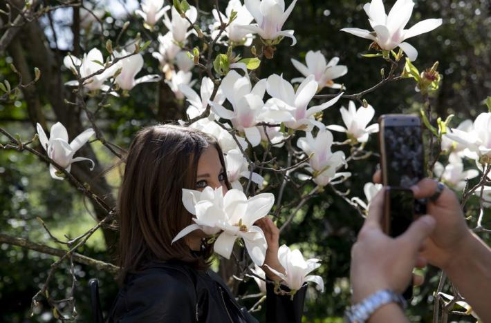 Oggi e domani apertura straordinaria dell'Orto Botanico per le "violette di Maria Luigia"