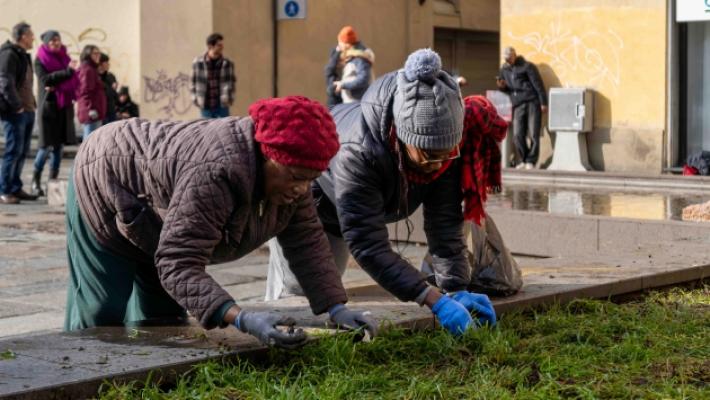 L'aiuola di piazza delle Barricate &egrave; pronta a fiorire