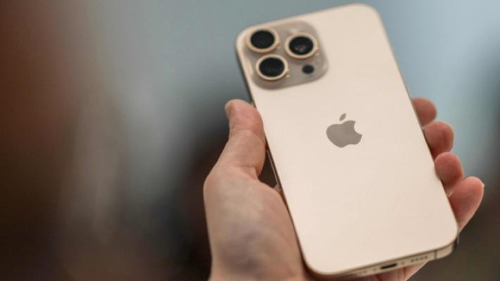 Scippa il telefonino a un giardiniere del Duc: condannato