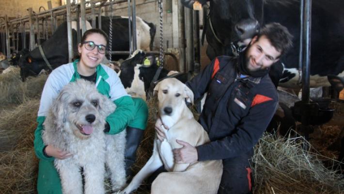 Gabriele e Caterina, due cuori e una stalla