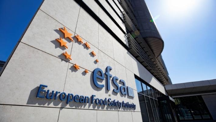 Guerra e antiterrorismo: occhi puntati sull'Efsa, la sinagoga e altri &laquo;obiettivi sensibili&raquo;