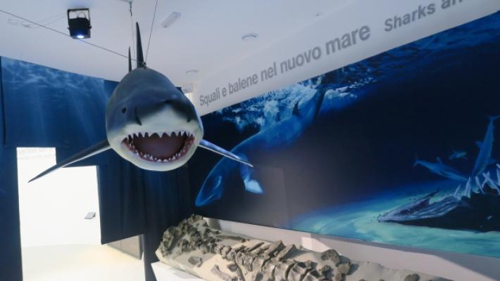 Musile Tanzi dopo le polemiche: &laquo;Il museo MuMab &egrave; una priorit&agrave; per questa amministrazione&raquo;