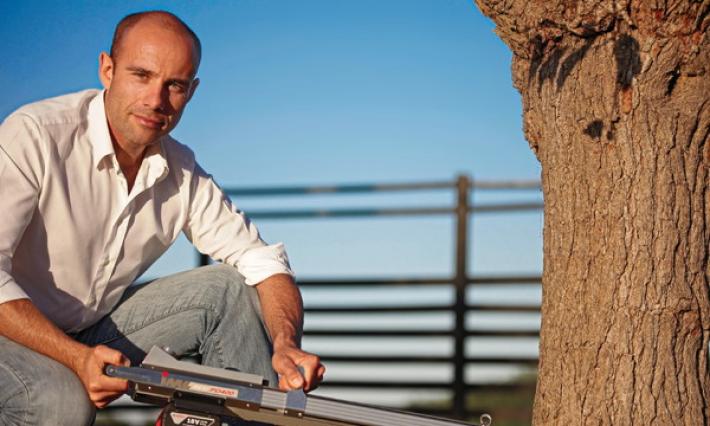 L'esperto: &laquo;Gli alberi che cadono spesso sono malati&raquo;