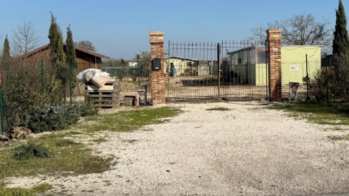 Meo: &laquo;Nella fattoria lager di Parma i cani vittime di estrema crudelt&agrave;&raquo;. Gialdi: &laquo;Quanti animali morti?&raquo;