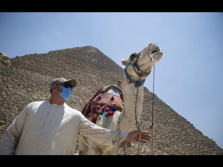 Cucina torte os&egrave;: pasticciera del Cairo arrestata