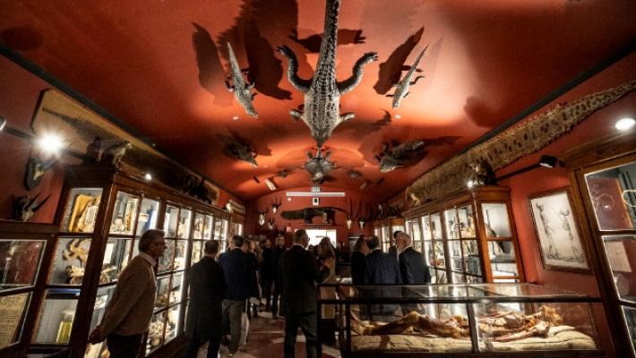 Universit&agrave; e Pnrr, tutti i progetti realizzati e in dirittura d'arrivo