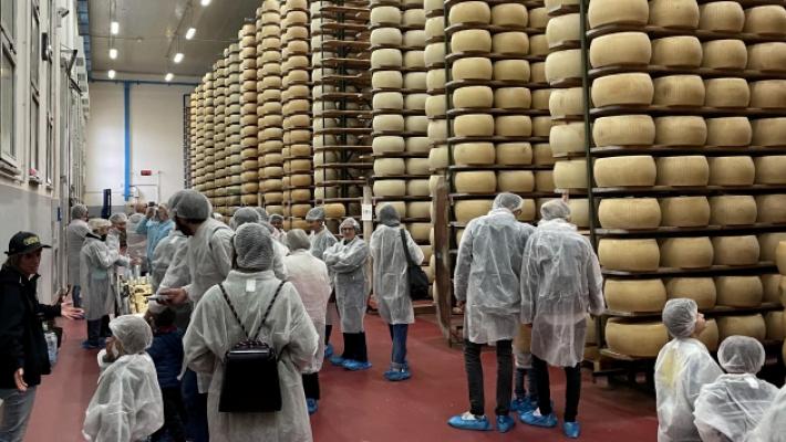 Il Parmigiano Reggiano punta sulle visite nei caseifici: al via il &laquo;Progetto Turismo&raquo;