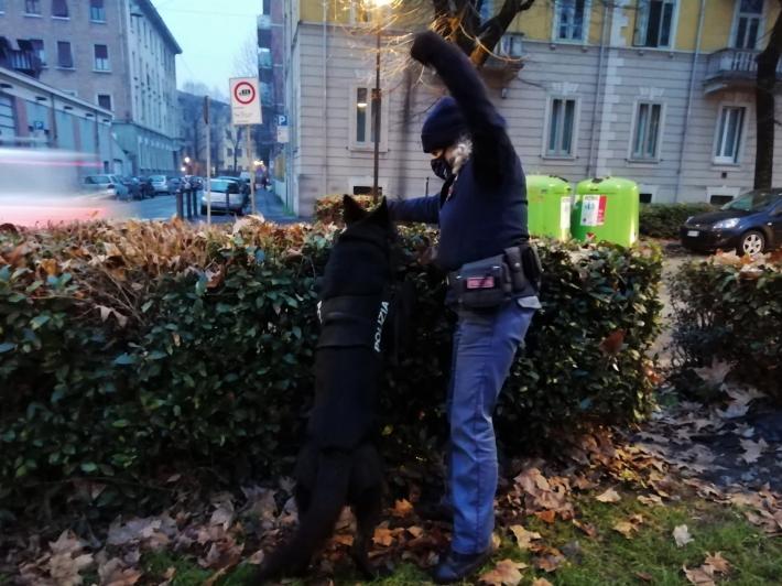I poliziotti a quattro zampe fiutano oltre due etti di hashish nascosti tra parchi e viali