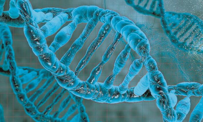 Una proteina del sangue legata al rischio di cancro e infarto