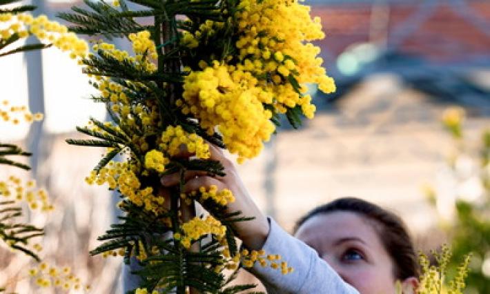 Otto domande per otto donne: dalla studentessa alla pensionata