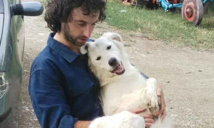 Bocconi killer, cane salvato dal padrone