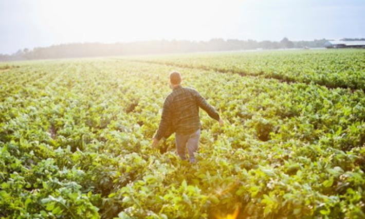 Coldiretti: "Pronti alla grande mobilitazione a Parma per difendere l'origine agricola dei prodotti"