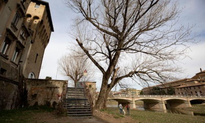 A spasso nel greto del torrente: sorprese senza fine