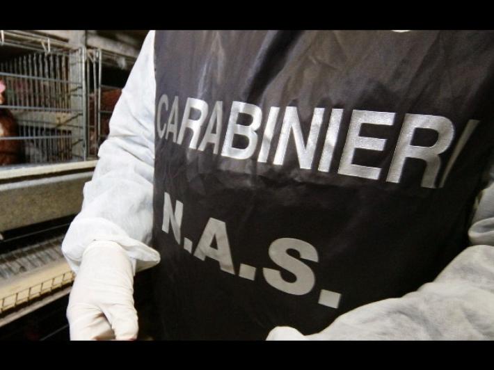 Vendevano farmaci online, 11 siti oscurati dai Nas