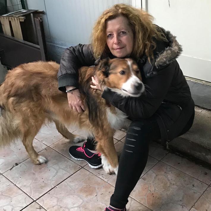 Tamponamento tra camion sull'A14: muoiono due volontari Enpa. Stavano trasportando cani e gatti da adottare