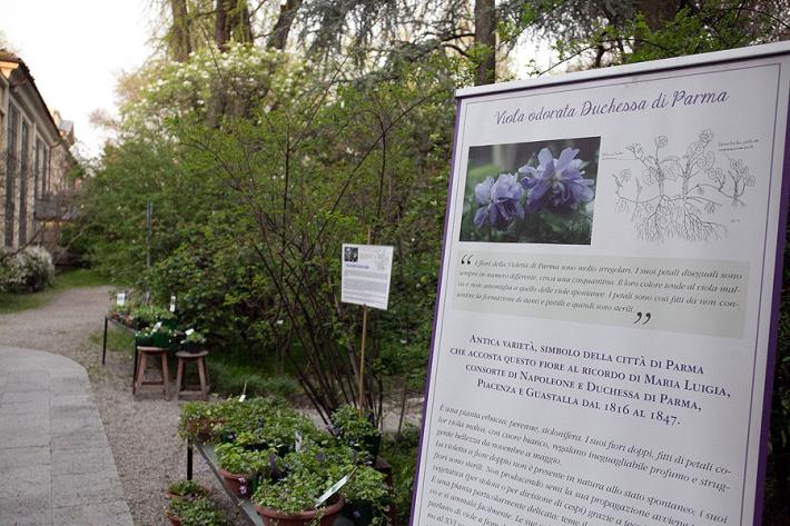 L'Orto Botanico riapre al pubblico in sicurezza, con novit&agrave; e nuove prospettive