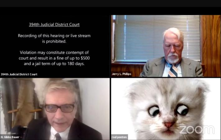Avvocato in udienza con Zoom: "Non sono un gatto"