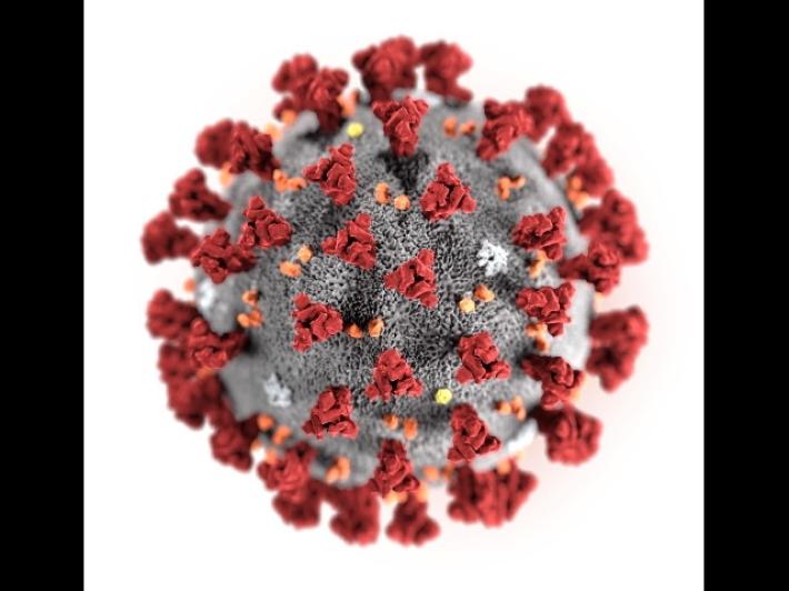 Superati i 100 tamponi positivi in un giorno a Parma: 110. Due decessi  e 11 persone in terapia intensiva