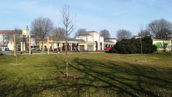 Giochi per bimbi disabili: in arrivo il parco inclusivo