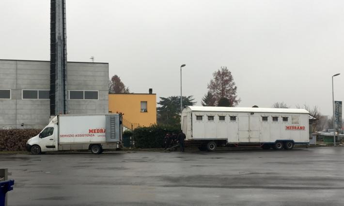 Circo, ripartita la carovana degli animali