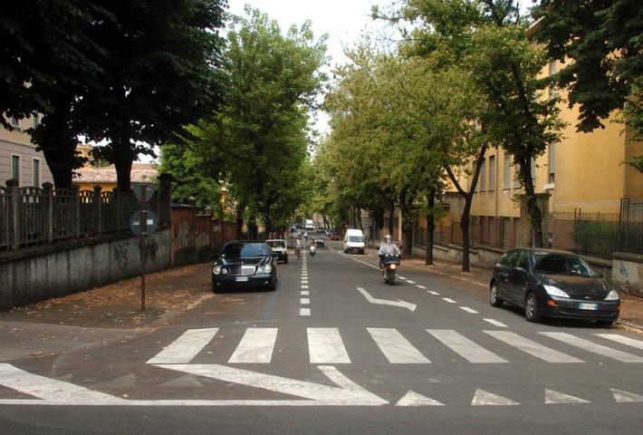 Nuovi alberi di pero  in via Gorizia, sostituiranno quelli abbattuti perch&eacute; malati e pericolosi 