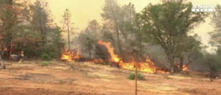 Rischio incendi boschivi, da sabato 26 marzo in Emilia-Romagna scatta lo stato di grave pericolosit&agrave;: allerta codice arancione per l&rsquo;aggravarsi della siccit&agrave;