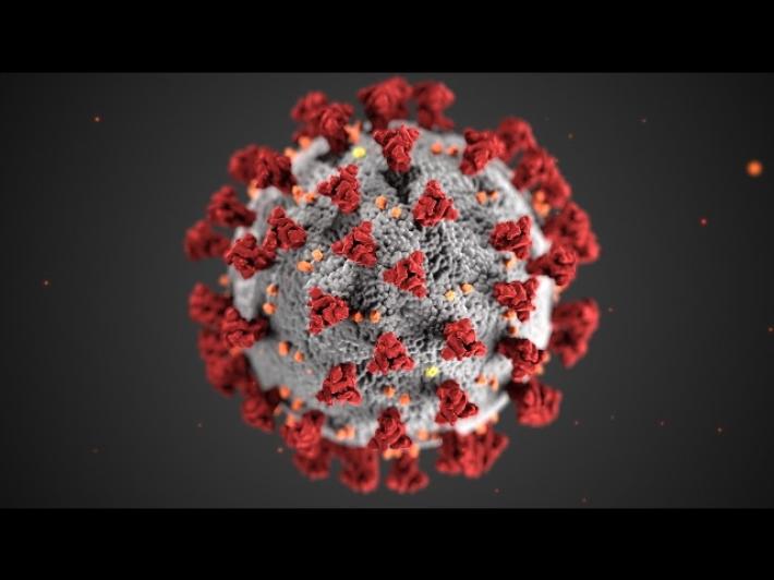 Un decesso e 38 nuovi positivi a Parma. 11 i pazienti in terapia intensiva