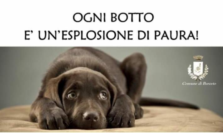 Botti: li vieta un Comune su 5