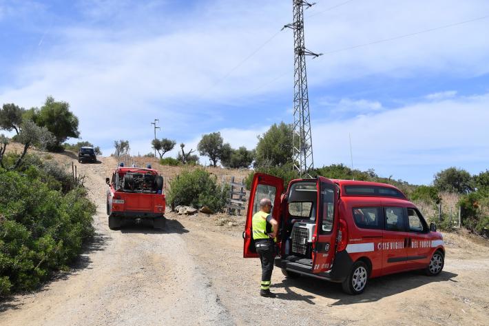 Identificati 38 alberi da abbattere 