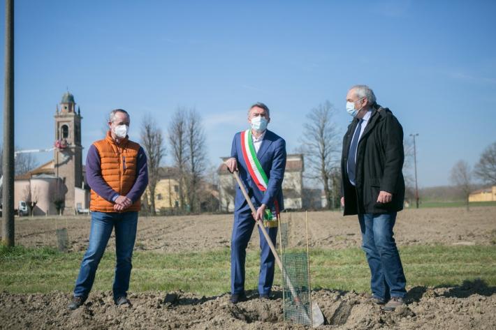 Nasce il bosco che profuma di pomodoro