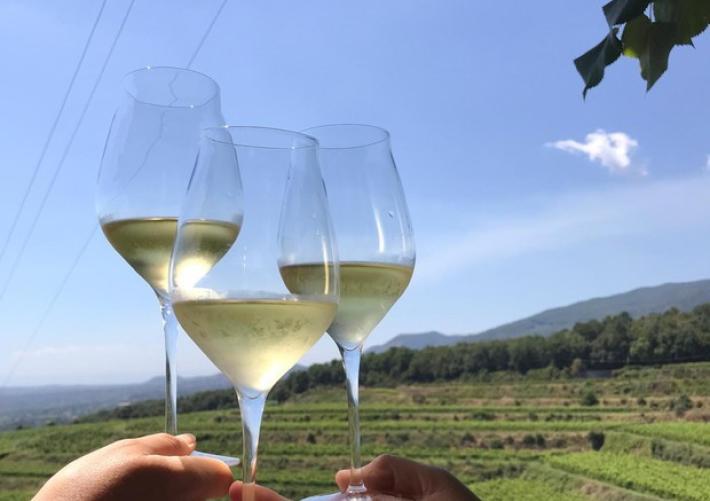 I sommelier e la paura del Covid, ecco un nuovo metodo di degustazione