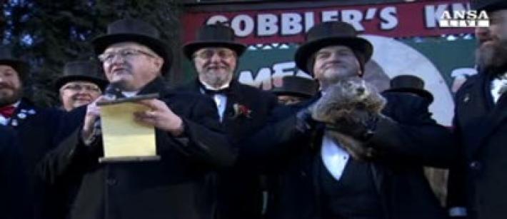 Le previsioni della marmotta Phil: altre 6 settimane di freddo