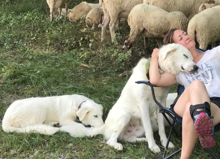 Deborah e Gabriele, allevatori: &laquo;Le nostre pecore e la convivenza coi lupi&raquo;