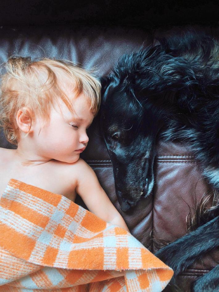 La compagnia  di un pet migliora il sonno dei bimbi in lockdown