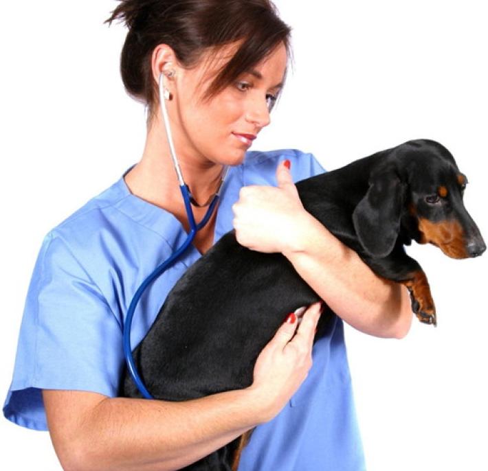 Come fare con Fido quando arriva un  beb&egrave;