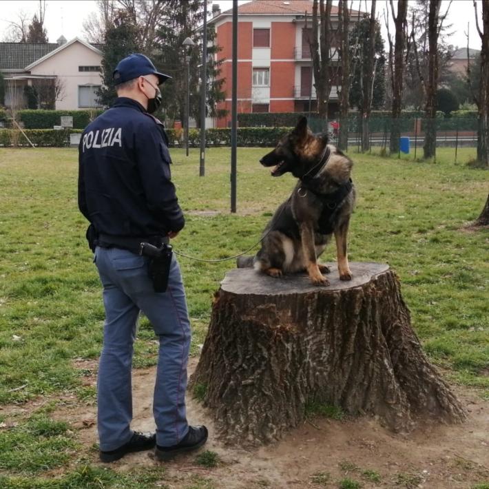  Sorbolo, Colorno, Torrile, Langhirano e Traversetolo: controllate 80 persone, una sola multata