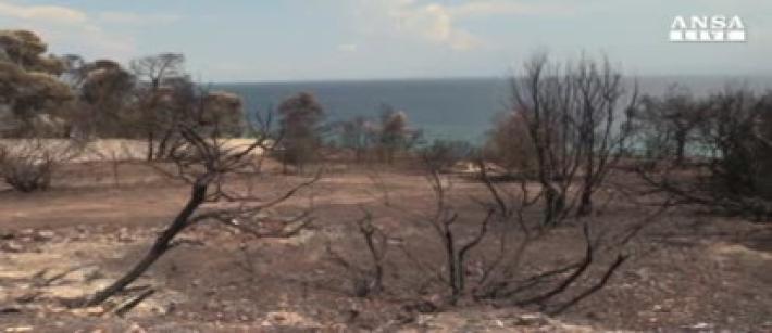 Aumentano i morti in Grecia, nel mirino case abusive al mare